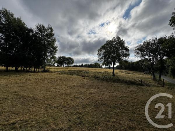 Maison à vendre  4 pièces - 85 m2 MONLET - 43