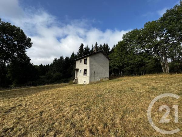 Maison à vendre  4 pièces - 85 m2 MONLET - 43