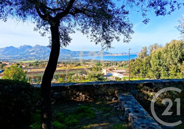 Maison à vendre  5 pièces - 128 m2 LUMIO - 202