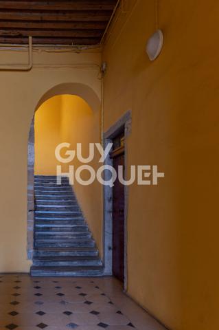 Magnifique appartement atypique quai st Vincent-passage Gonin - avec parking