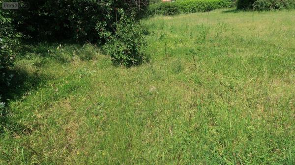 Terrain à Batir à vendre à Thuré dans la Vienne (86540), ref : 86024-TEBA2180   
Besse