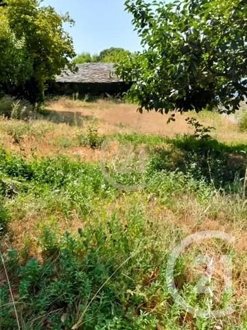 Terrain à vendre  1105 m 2   CALENZANA  - 202