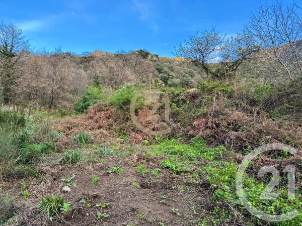 Terrain à vendre  1105 m 2   CALENZANA  - 202