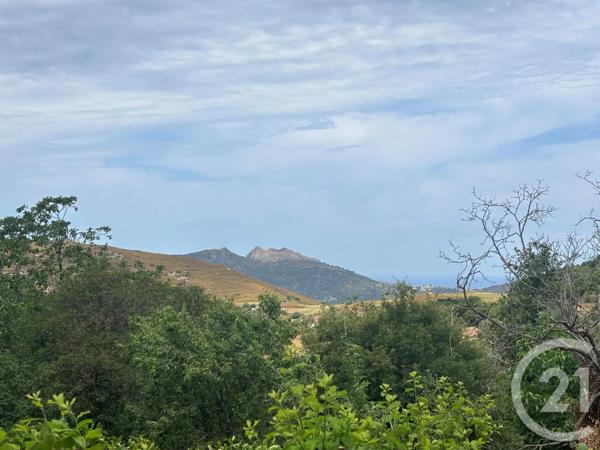 Terrain à vendre  1105 m 2   CALENZANA  - 202