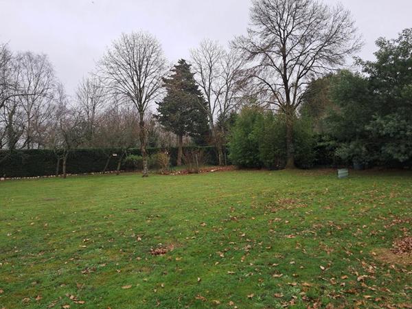 Terrain constructible