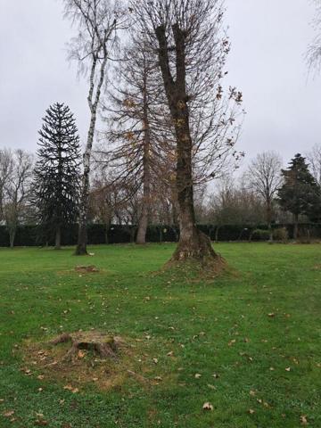 Terrain constructible