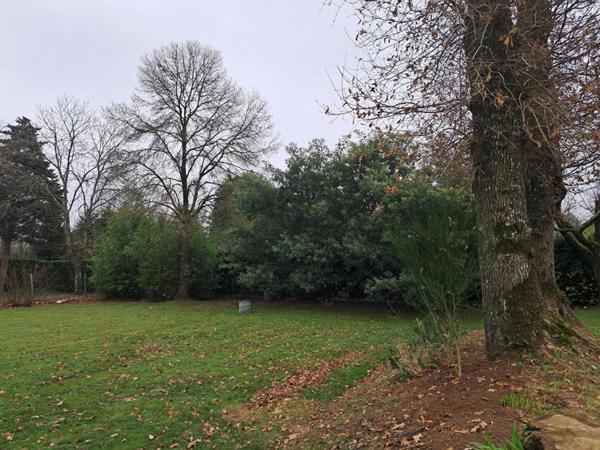 Terrain constructible