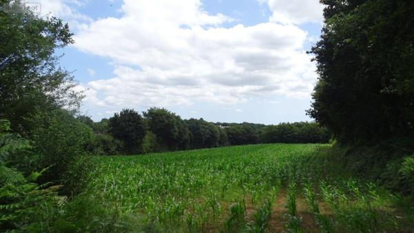 Terrain à Batir à vendre à Landivisiau dans le Finistère (29400), ref : 3972