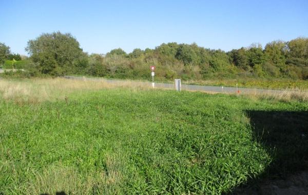 Vente Programme dès 109 500  Brem-sur-mer   