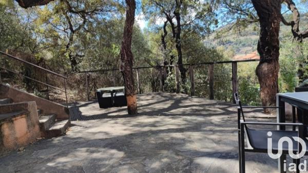 Maison à vendre 9 pièces 210 m² Collioure