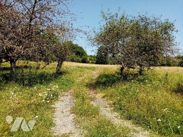 PROPRIETE AVEC GRAND PARC proche A77