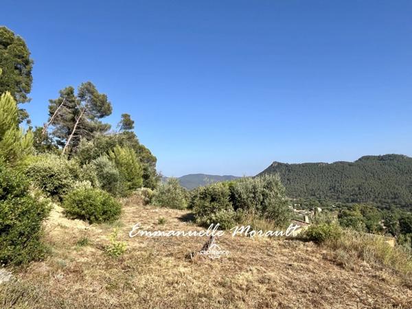 Terrain à vendre de 910 m² avec PC accordé à BAGNOLS EN FORET (83)
