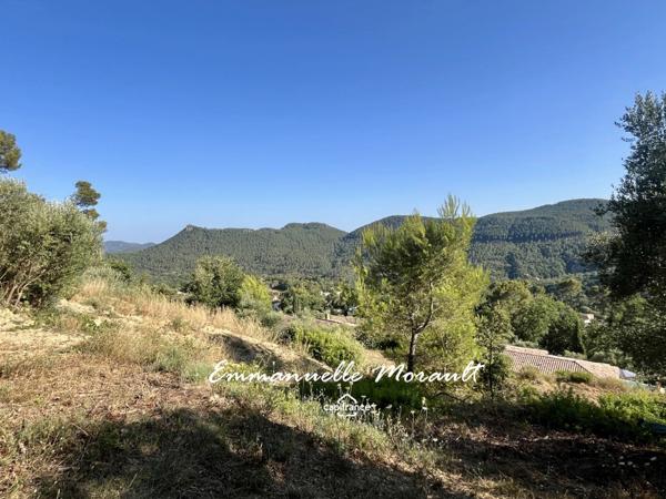 Terrain à vendre de 910 m² avec PC accordé à BAGNOLS EN FORET (83)