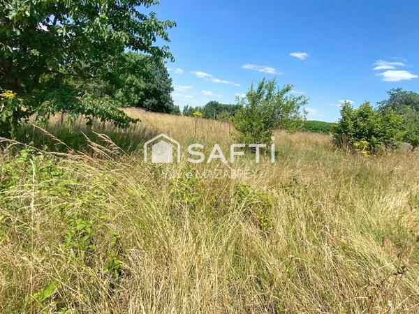 Charmante maison ancienne avec grand terrain arboré – Secteur calme