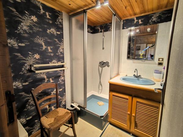 Magnifique jardin pour cette maison dans le bourg