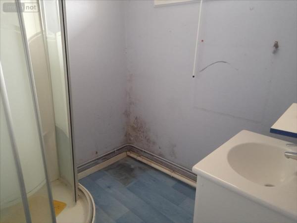 Maison à vendre à La Flèche dans la Sarthe (72200), ref : 1218