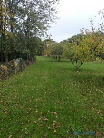 SPECIAL INVESTISSEURS