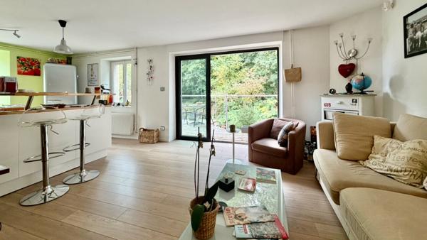 Remiremont : maison lumineuse, 4 chambres, terrasses et jardin