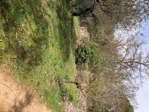 Terrain à fort potentiel