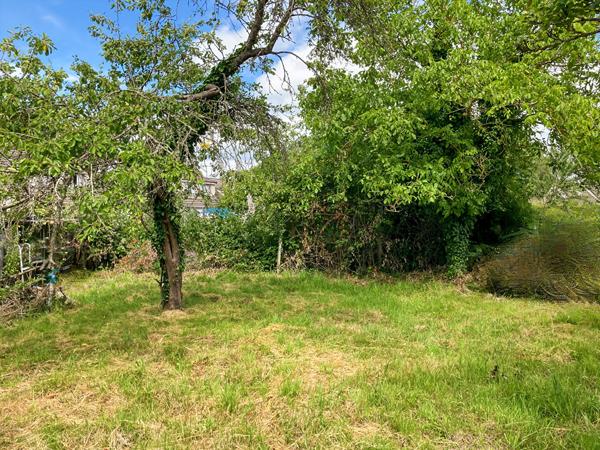 Terrain plat à bâtir en lot arrière de 780 m² environ à OLLAINVILLE "LA ROCHE"
