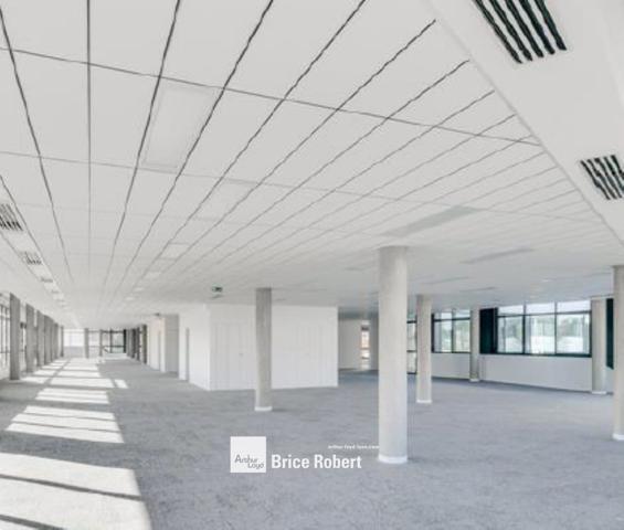 Bureaux à louer à Champagne-au-Mont-d'Or immeuble moderne et divisible
