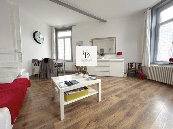 Lille (59000) À vendre - Appartement T2 plein de charme - Quartier Lille Moulins- À 2 pas de l'université de droit