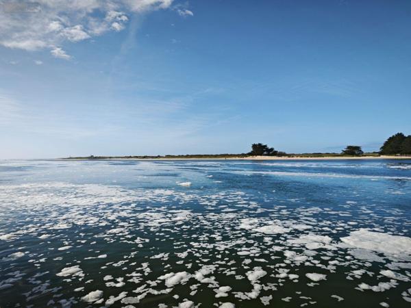 Studio à vendre à Étel dans le Morbihan (56410), ref : 2026-124