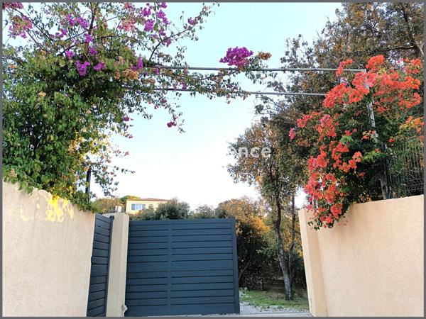 Maison à Lumio, 20260 - 10 pièces 283m²