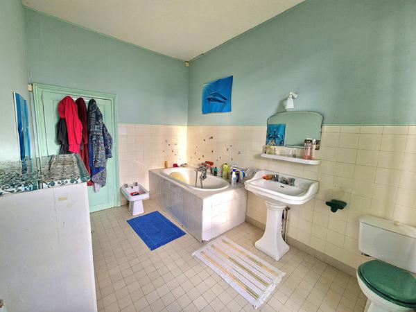 maison de maître à Châteauneuf-sur-Sarthe 10 pièce(s)