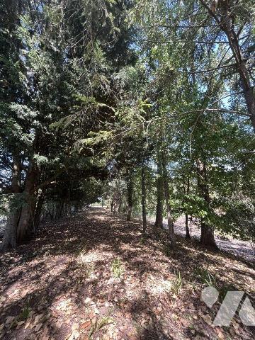 Argentonnay-La Coudre, très belle propriété de 170 m², avec étang sur environ 8320 m². Un vérit...
