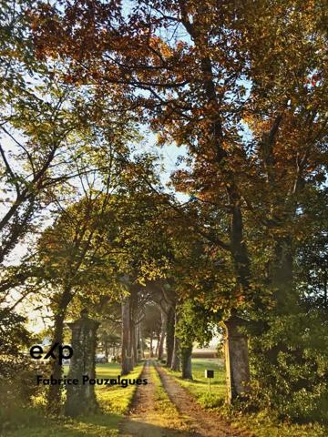 Histoire et Contemporain dans un Domaine Unique au Cœur de la Nature