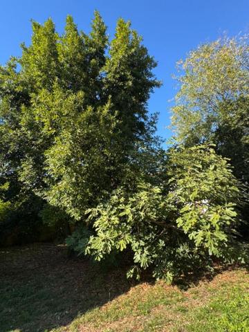 Maison à Saint Loubès de 4 pièces de 82 m² - Garage - Terrain de 981 m²