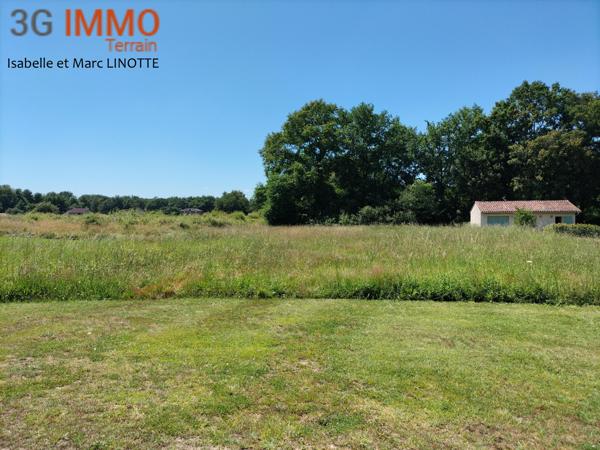 Vente / Terrain