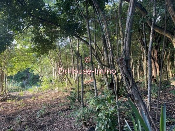 Terrain à vendre de 500 m²