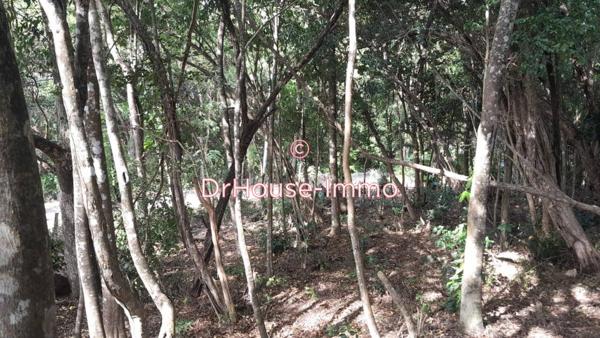 Terrain à vendre de 500 m²