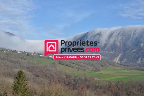 TERRAIN A BATIR LIBRE CONSTRUCTEUR - 550m2 - Clarafond-Arcine 74270