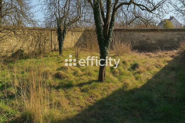 Immeuble 25 pièces - 522 m²