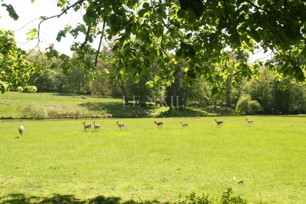 Rare Château Monument Historique à vendre dans le Bourbonnais.