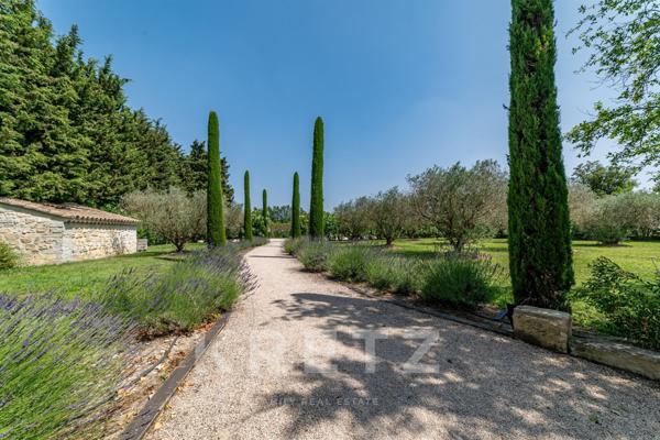 Authentique Mas Provençal, calme absolu
