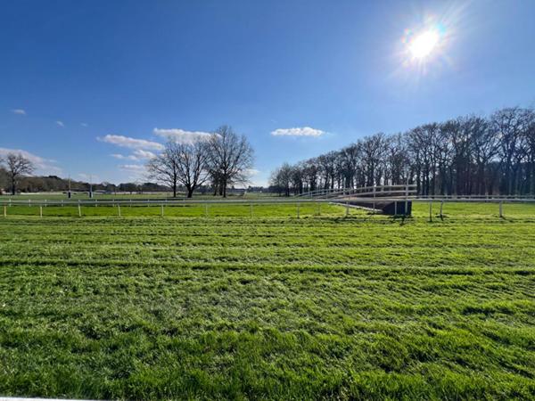 MAISON quartier hippodrome  5 chambres