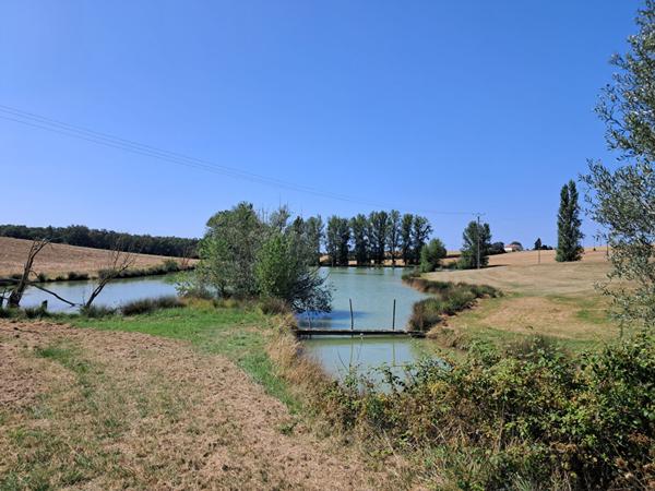 Propriété proche Gimont 7 pièces 200 m2 avec dépendances sur 7.8 hectares