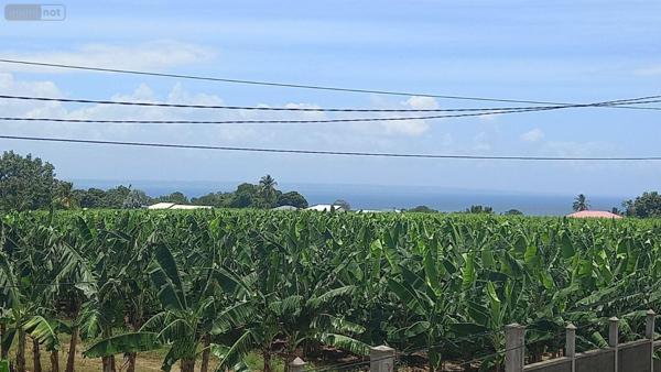 Maison individuelle à vendre à Capesterre-Belle-Eau en Guadeloupe (97130), ref : 15056/156