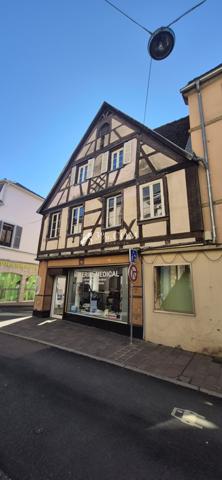 Immeuble de rapport Bitche (57230)