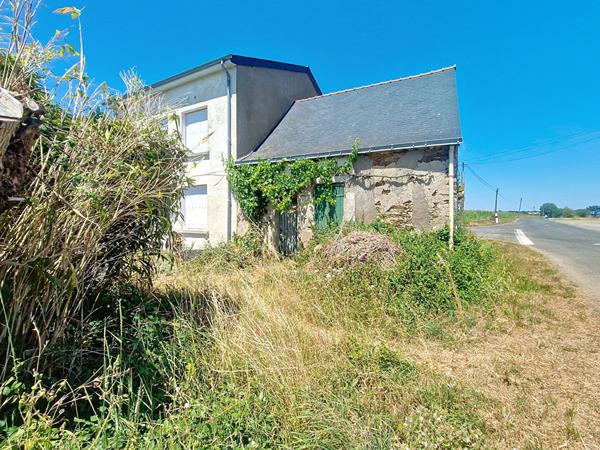 Cave à réhabiliter en maison, deux pièces, jardinet.