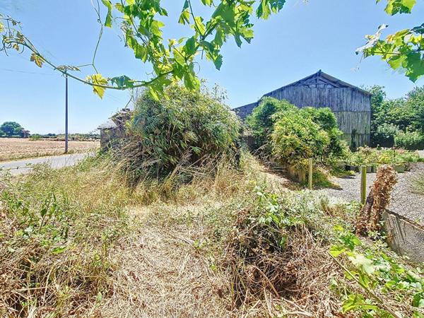 Cave à réhabiliter en maison, deux pièces, jardinet.