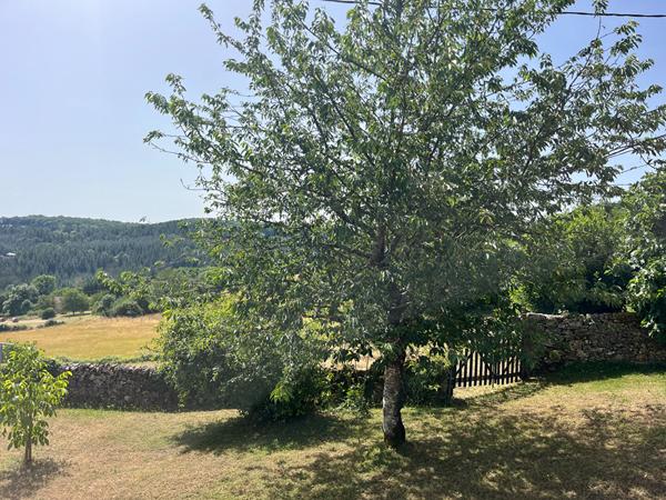Maison avec vue exceptionnelle dans un environnement préservé Figeac