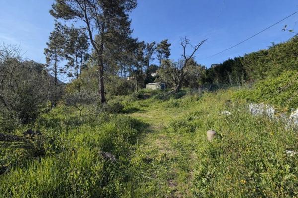 Vente / Terrain constructible