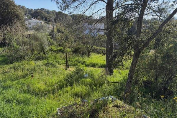 Vente / Terrain constructible