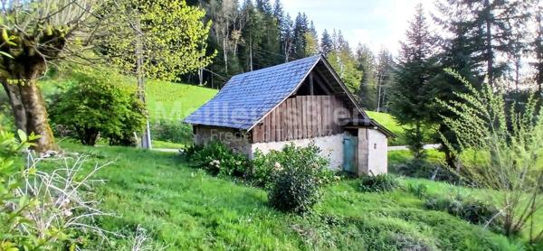 Véritable Maison Savoyarde avec deux dépendances au sein d'un petit hameau près du lac d'Aiguebelette (73610) avec terrain de 1900m²