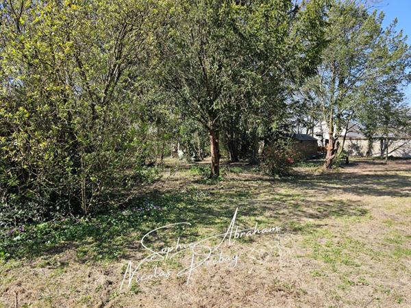 Maison bourgeoise avec sous-sol, jardin et parc boisé